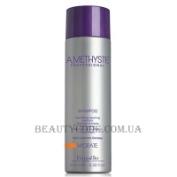 FARMAVITA Amethyste Hydrate Shampoo - Поживний шампунь для сухого та ослабленого волосся