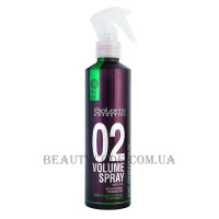 SALERM Pro Line Volume Spray - Спрей-об'єм для укладки волосся