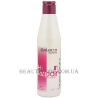 SALERM Shampoo Hi-Repair 01 - Шампунь для антивікового відновлення структури волосся