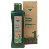 SALERM Biokera Champu Especifico Grasa - Шампунь для жирної шкіри голови
