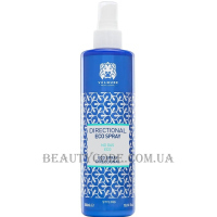 VALQUER Eco Directional Spray - Фіксуючий спрей для волосся