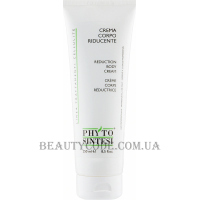 PHYTO SINTESI Reduction Cream - Масажний крем для зменшення об'ємів з термічним ефектом
