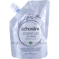 ECHOSLINE Color Up Icy Glam - Тонуюча маска для волосся 