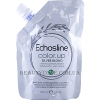 ECHOSLINE Color Up Silver Blonde - Тонуюча маска для волосся 