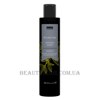 INVIDIA Botoplus Dry and Crisp Karite Shampoo - Шампунь з каріте для пористого та кучерявого волосся