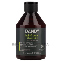 LISAP BHH Dandy Beard & Hair Shampoo - Шампунь для волосся та бороди