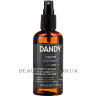 LISAP BHH Dandy Beard Cleanser - Дезінфікуючий спрей для вус та бороди