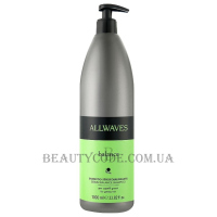 ALLWAVES Sebum Balance Shampoo - Шампунь для відновлення балансу жирної шкіри голови