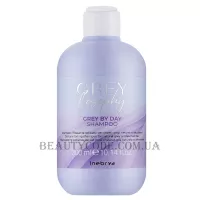 INEBRYA Greylosophy Grey By Day Shampoo - Шампунь тонуючий для натурального сивого та блондованного волосся